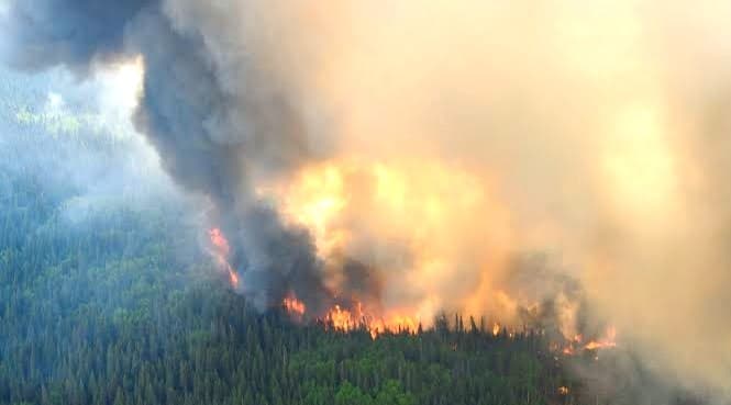 Rentetan Fenomena Alam Melanda Indonesia Sepanjang 2023, Ada Banjir hingga Kekeringan