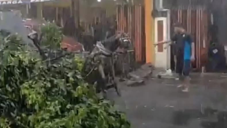 Pohon Tumbang Timpa Andong di Jalan Ibu Ruswo Yogyakarta, Kusir dan Kuda Terjebak