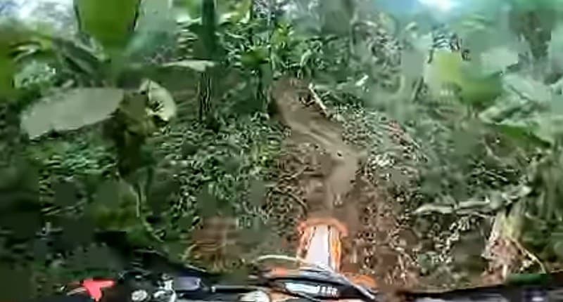 Viral, Event Motor Trail Kembali Bikin Heboh, Kali Ini Acak-Acak Kebun Pisang Warga