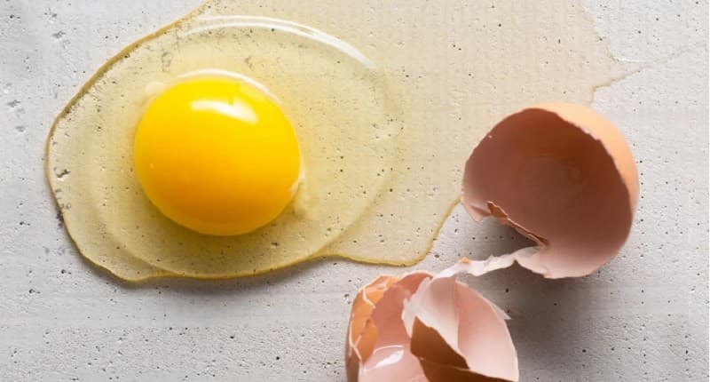 Makan Telur Mentah atau Matang, Mana Protein yang Paling Banyak Terserap Tubuh? Makan Telur Mentah atau Matang, Mana Protein yang Paling Banyak Terserap Tubuh?