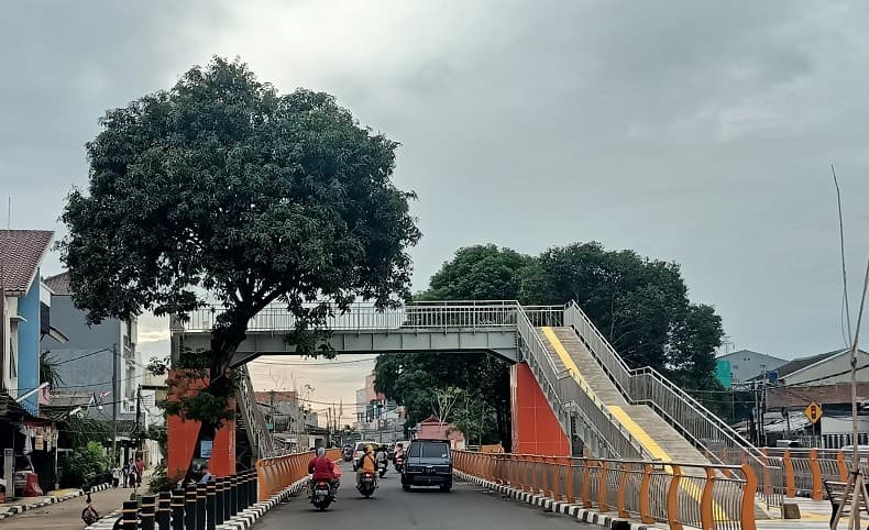 Antisipasi Bocah Main Perosotan di JPO, Pemkot Depok Kaji Pembangunan Taman