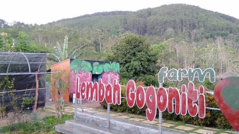 7 Tempat Wisata Terbaik di Blitar, dari Kampung Cokelat sampai Tempat Peradaban Masa Lalu