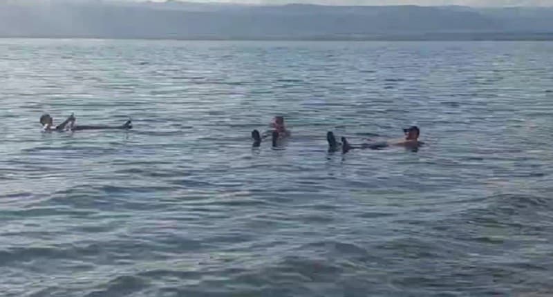 Sensasi Berenang di Laut Mati, Lumpurnya Bagus untuk Kesehatan dan Kecantikan Kulit Sensasi Berenang di Laut Mati, Lumpurnya Bagus untuk Kesehatan dan Kecantikan Kulit