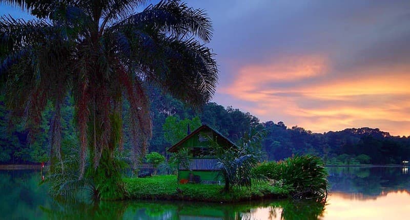 7 Hidden Gem di Bogor Wajib Dikunjungi, Punya Pemandangan Cantik Layaknya Surga!