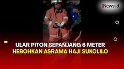 Damkar Surabaya Evakuasi Ular Piton Sepanjang 6 Meter di Asrama Haji Sukolilo 