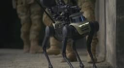 Wow, Militer China Pamer Robot Tempur 'Anjing' di Latihan Perang