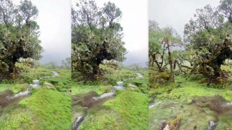 Viral, Lembah Lohe di Sulawesi Selatan Sering Dikira Luar Negeri, Suasananya seperti Dongeng   