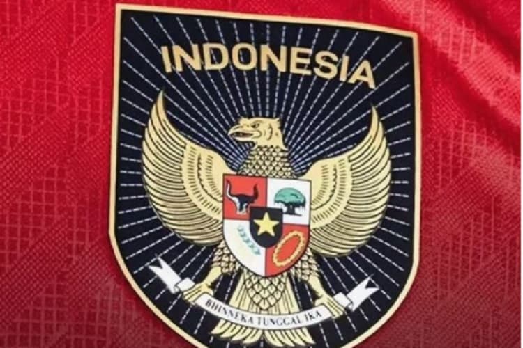 Polemik Logo Garuda di Jersey Timnas Milik Mills, Menpora Minta PSSI Angkat Bicara