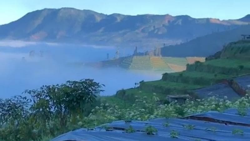 6 Desa di Banjarnegara Sangat Menakjubkan, Suasananya Sejuk Dikelilingi Kebun Sayur