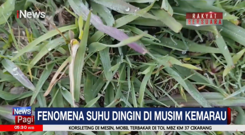 Begini Penjelasan BMKG Fenomena Suhu Dingin di Musim Kemarau