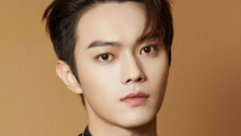 Profil dan Biodata Xu Kai, Aktor Tampan yang Bintangi Drama Mandarin Terbaru As Beautiful As You 