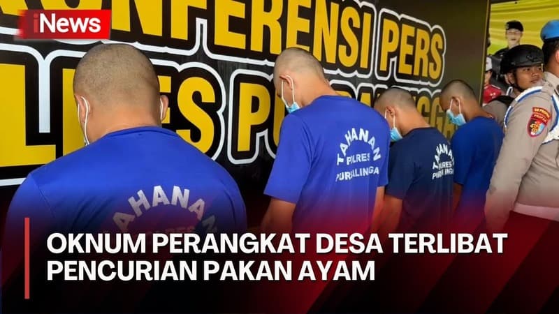 Viral Pencurian Pakan Ayam di Purbalingga, Komplotan Pelaku Ditangkap: Ada Perangkat Desa dan Orang Dalam