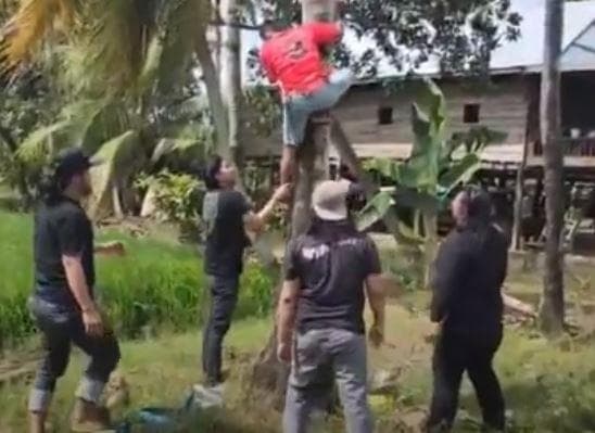 Hendak Ditangkap Polisi, Pencuri Spesialis HP di Wajo Sembunyi di Pohon Kelapa