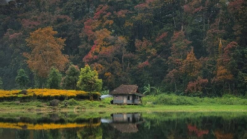 Desa di Bandung Harus Dikunjungi, Ada di Ketinggian 1.600 Mdpl Suasananya Sejuk Dikelilingi Kebun Teh 