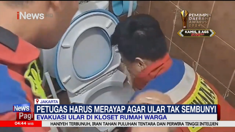 Detik-Detik Evakuasi Ular Muncul dari Toilet saat Digunakan