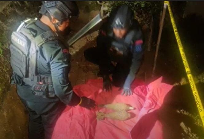 Heboh 4 Bom Aktif Peninggalan Perang Ditemukan di Kantor Kecamatan Puspo Pasuruan