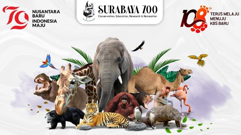 Harga Tiket Masuk Kebun Binatang Surabaya 2024, Tips dan Cara Pembelian
