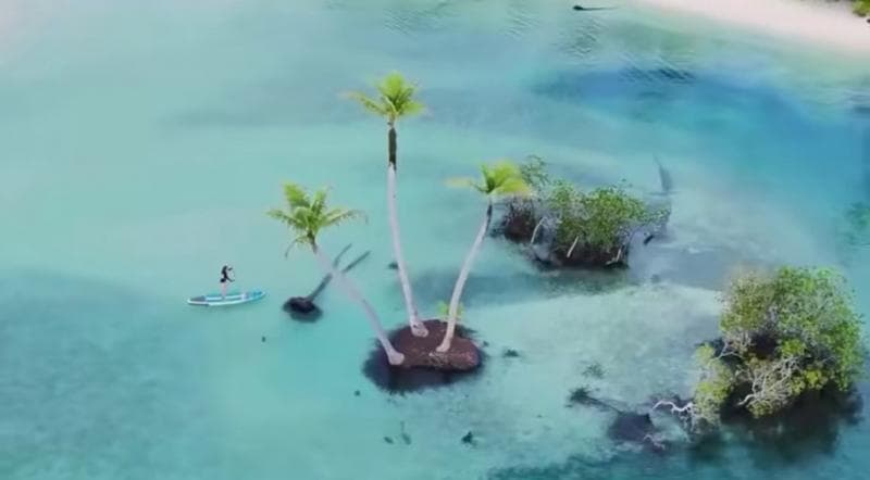 Viral Pulau Spongebob Ada di Dunia Nyata, Lokasinya di Sumatera Barat Viral Pulau Spongebob Ada di Dunia Nyata, Lokasinya di Sumatera Barat