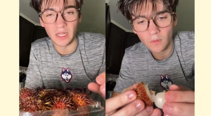 Viral Bule Pertama Kali Makan Rambutan Sama Bijinya, Netizen: Jadi Renyah Banget Viral Bule Pertama Kali Makan Rambutan Sama Bijinya, Netizen: Jadi Renyah Banget