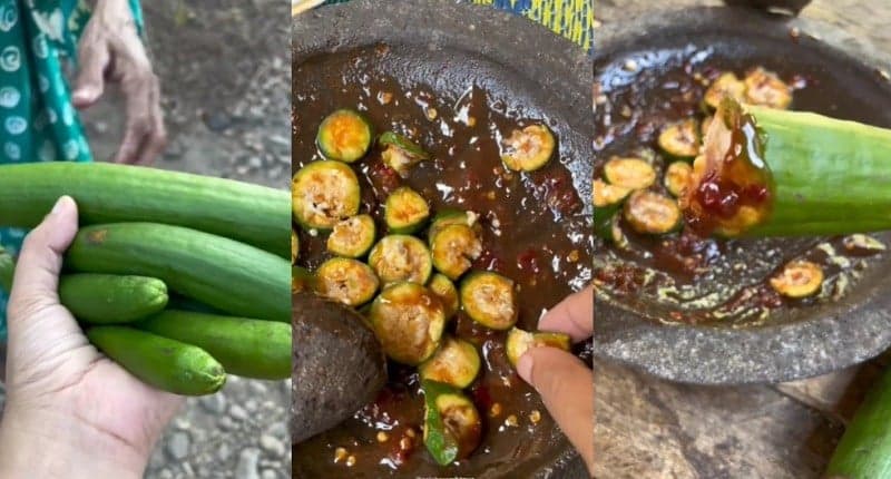 Biasa Dibuat Kasur, Ternyata Buah dari Pohon Kapuk Enak Diolah Jadi Rujak Biasa Dibuat Kasur, Ternyata Buah dari Pohon Kapuk Enak Diolah Jadi Rujak