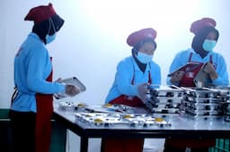 Koperasi Siap Jadi Pemasok Bahan Baku MBG, Ratusan Miliar Dikucurkan