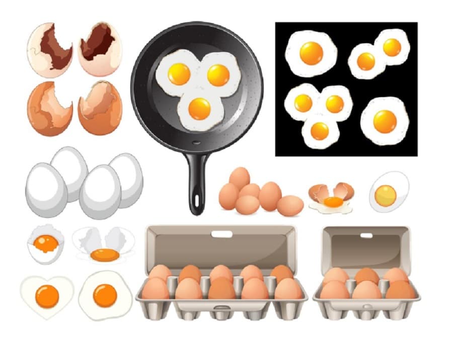 Mitos atau Fakta: Benarkah Telur Bisa Picu Kolesterol?