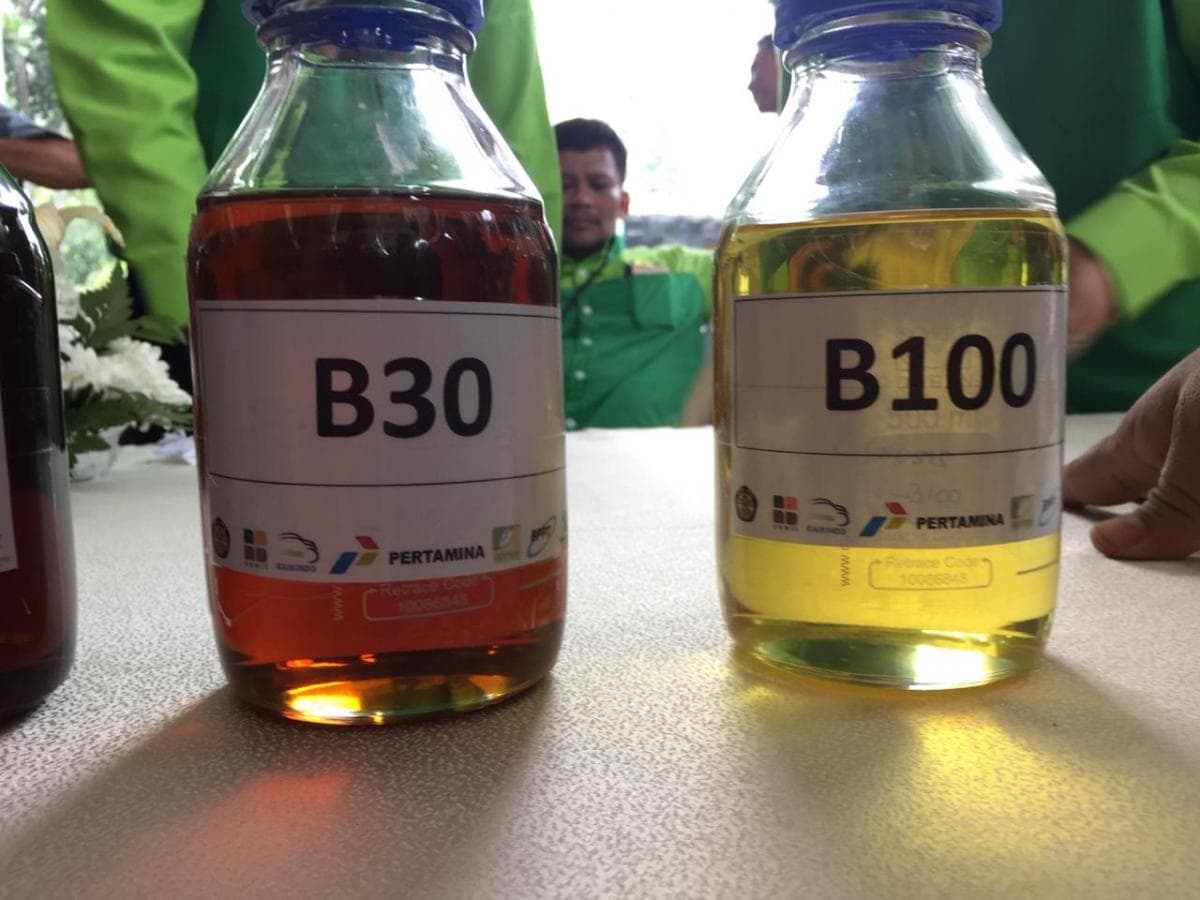 Alokasi Biodiesel 2026 Sebesar 15 Juta KL, Hemat Devisa Rp139 Triliun