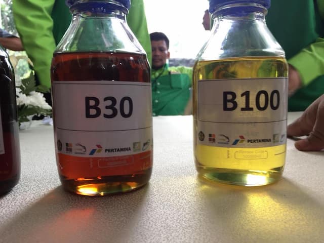 Alokasi Biodiesel 2026 Sebesar 15 Juta KL, Hemat Devisa Rp139 Triliun