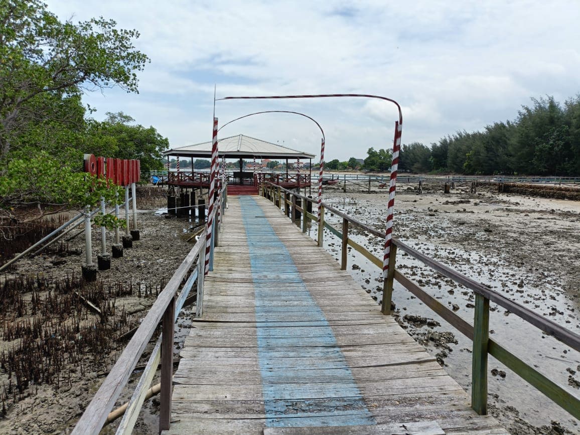 Taman Wisata Laut Labuhan Jadi Motor Konservasi dan Ekonomi Pesisir