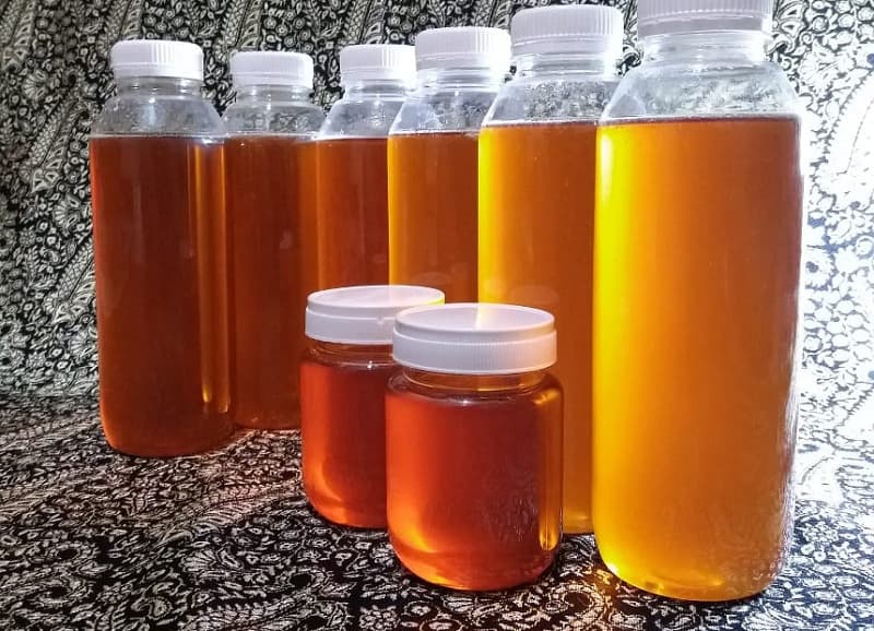 Perhutani Pasok Madu dan Minyak Kayu Putih ke Sumatera