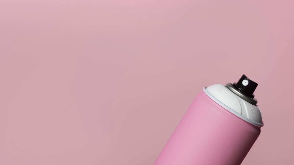 Simpan Whip Pink saat Pindah Rumah, Elsa Japasal Buka