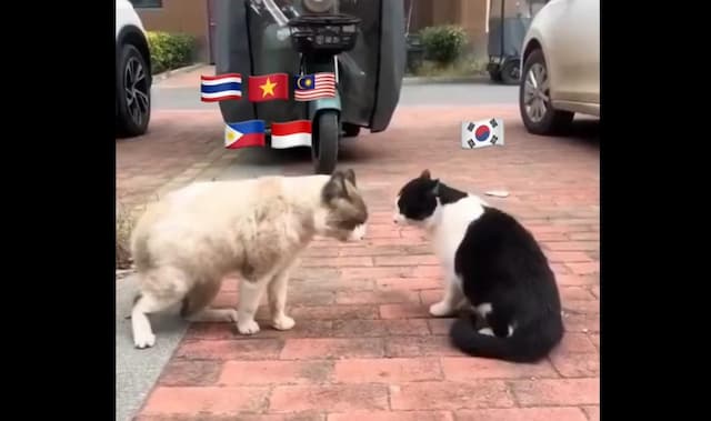 Heboh Perang KNetz dan SEAblings, Nama RM BTS hingga Baskara Mahendra Terseret