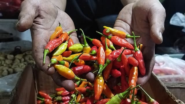 Harga Cabai Rawit Meroket Tembus Rp100.000 per Kg, Ternyata Ini Biang Keroknya