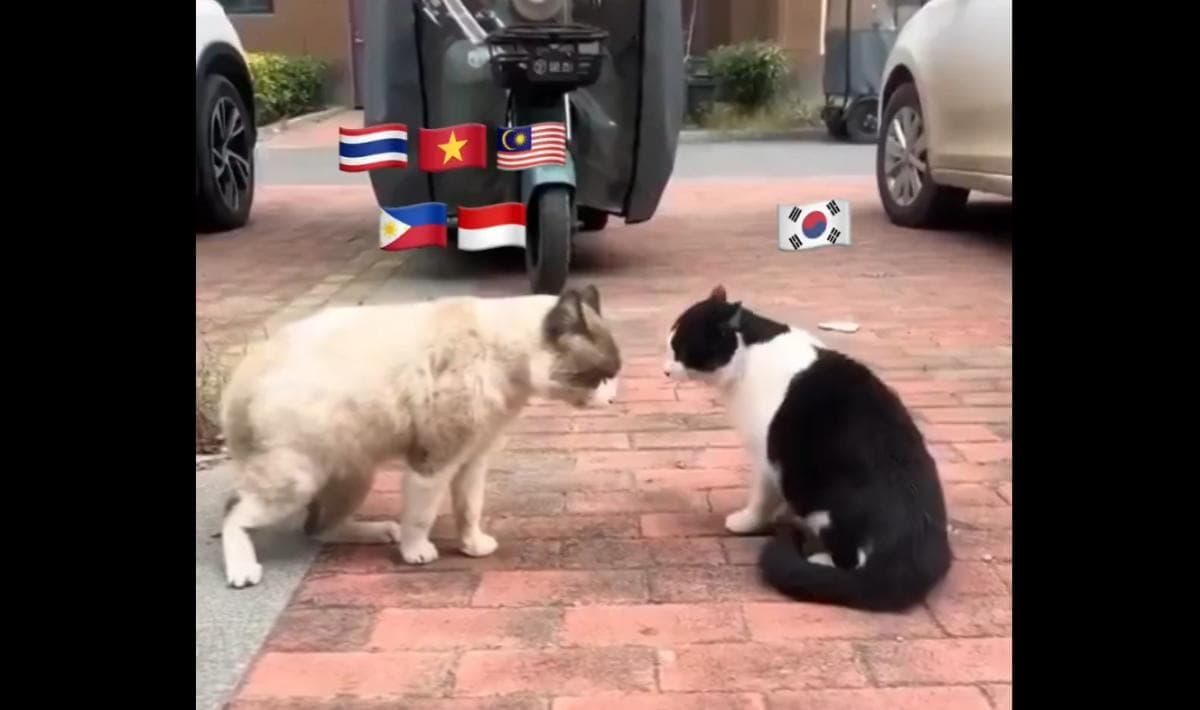 Apa Arti Knetz yang Viral di Medsos Lawan SEAblings?