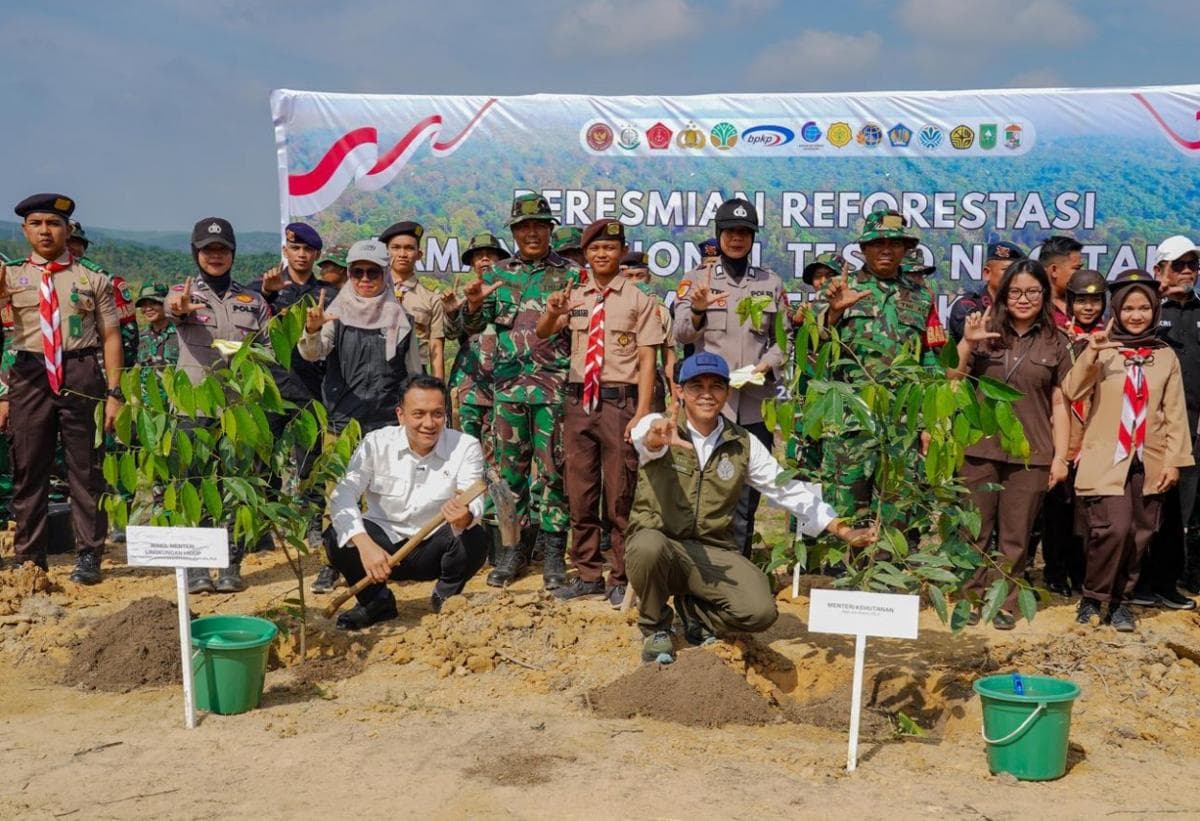 Pemerintah Reforestasi Taman Nasional Tesso Nilo Tahun Ini, Targetkan 2.557 Hekatare