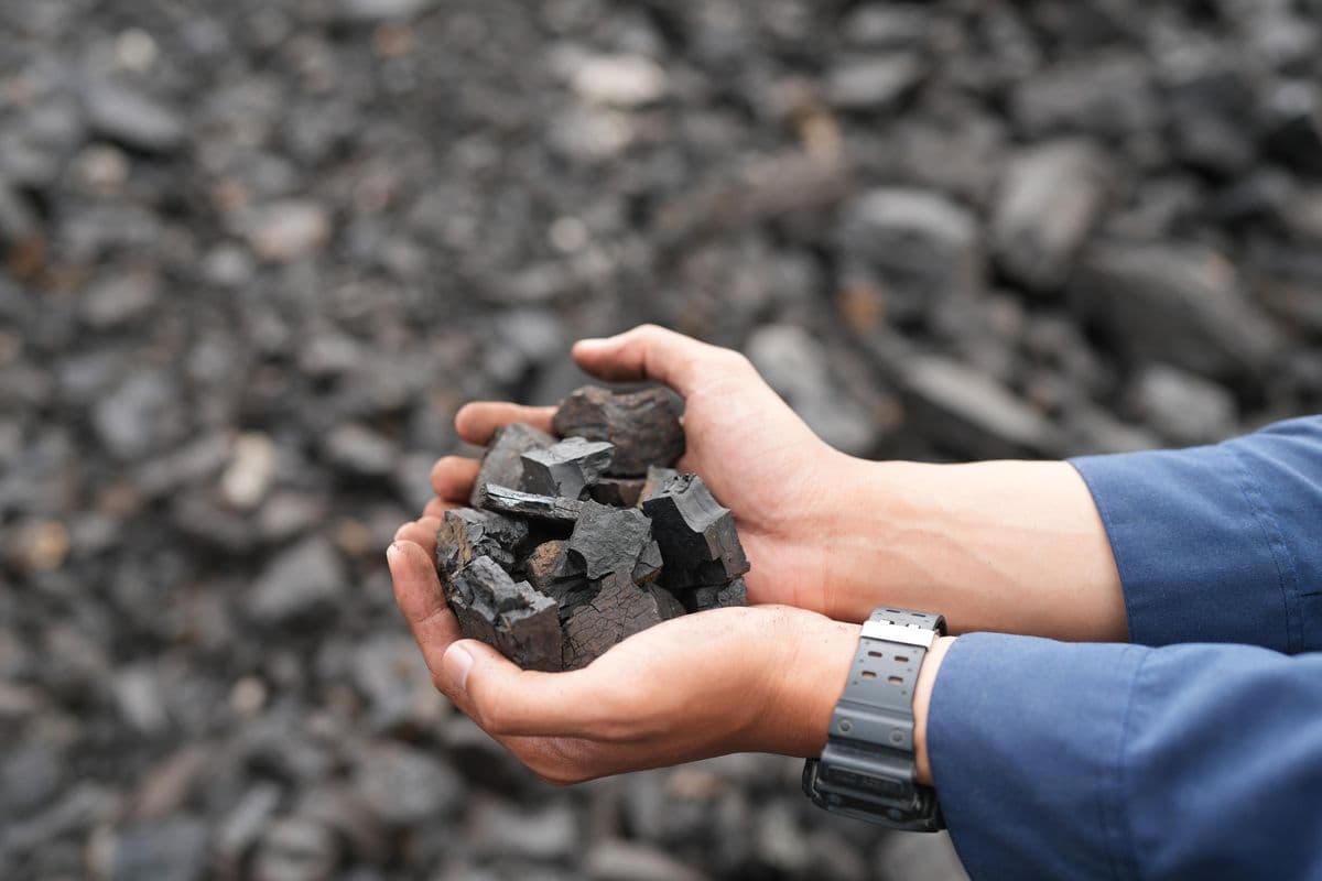 Cadangan Batu Bara Pembangkit PLN Capai 19 Hari, Dipastikan Aman pada Lebaran 2026