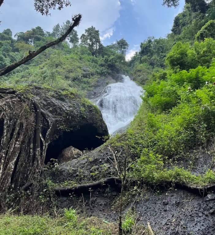 Destinasi Wisata di Wonosobo yang Wajib Disinggahi Saat Mudik Lebaran