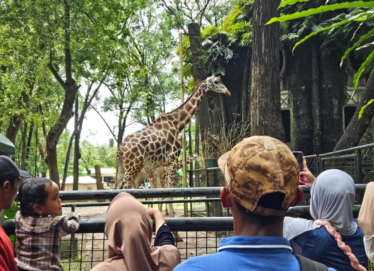 Ragunan Targetkan 400 Ribu Pengunjung Selama Libur Lebaran