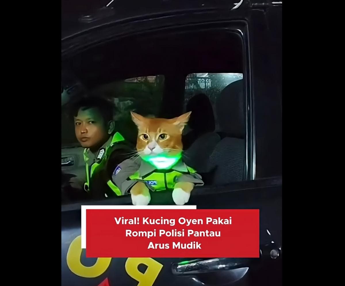 Viral Kucing Oyen Pakai Rompi Polisi Pantau Arus Mudik Lebaran 2026 di Jawa Barat