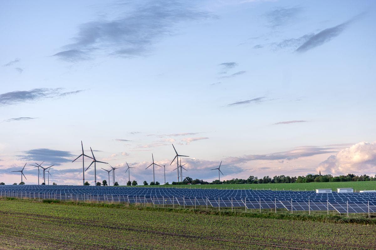 Anjuran IEA Kurangi Minyak dan LPG, DEN: Sesuai Skenario Transisi Energi Indonesia