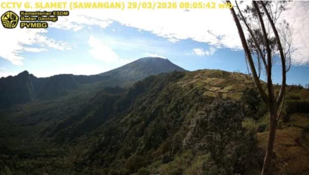 Waspada! Aktivitas Gunung Slamet Meningkat,Warga Dilarang Mendaki