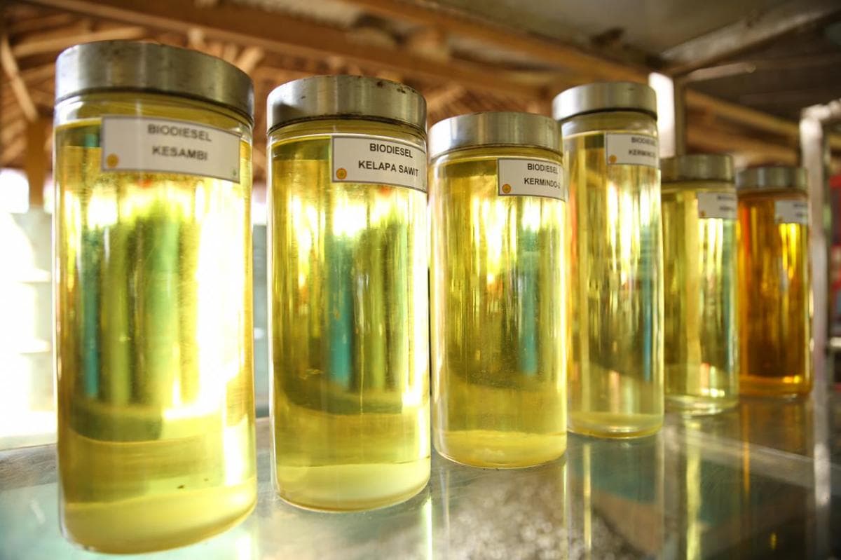 Biodiesel B50 Berlaku 1 Juli 2026, Tekan BBM Fosil hingga 4 Juta Kiloliter