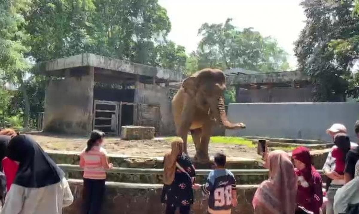 Perketat Aturan Nite Zoo, Pengelola Ragunan Bakal Usir Pengganggu Satwa hingga Pelaku Asusila