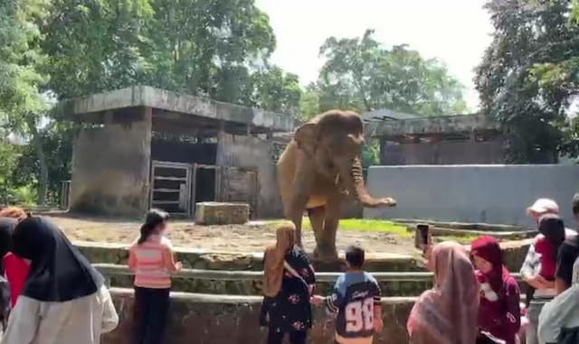 Perketat Aturan Nite Zoo, Pengelola Ragunan Bakal Usir Pengganggu Satwa hingga Pelaku Asusila