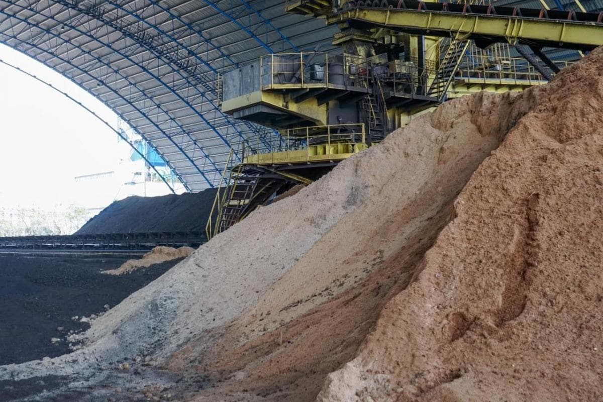 RI Perkuat Rantai Pasok Bioenergi, Sulap Cangkang Sawit Jadi Listrik