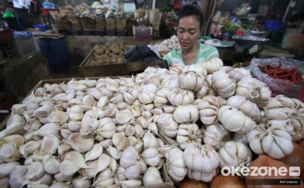 RI Segera Swasembada Bawang Putih, Produksi Terus Naik