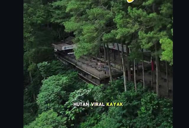 5 Rekomendasi Kafe Hits Indonesia di Tengah Hutan yang Instagramable
