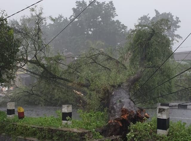 Bekasi Dilanda Hujan Badai, Pohon Tumbang hingga Atap Rumah Hancur