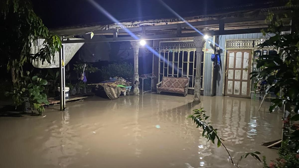 BNPB Ungkap Rentetan Banjir hingga Karhutla di Sejumlah Wilayah dalam 24 Jam