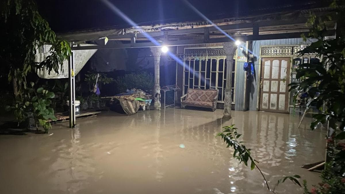 BNPB Catat Rentetan Bencana Banjir-Karhutla di Sejumlah Wilayah dalam 24 Jam Terakhir